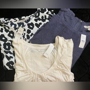 ANN TAYLOR LOFT Size Large 3 Top Bundle